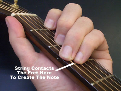 fretcontact How To Fret The Guitar